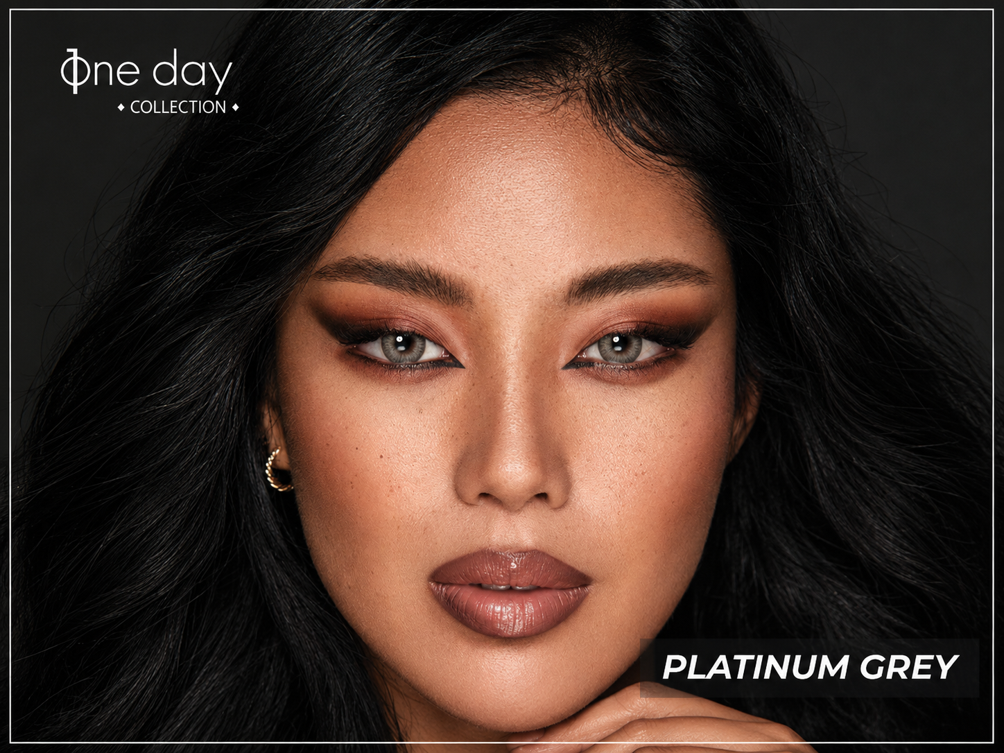 Platinum Grey Glamour Portrait